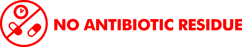 No antibiotics